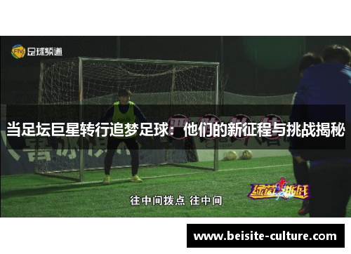 当足坛巨星转行追梦足球：他们的新征程与挑战揭秘