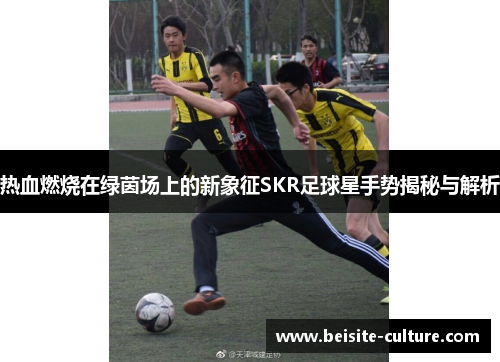 热血燃烧在绿茵场上的新象征SKR足球星手势揭秘与解析