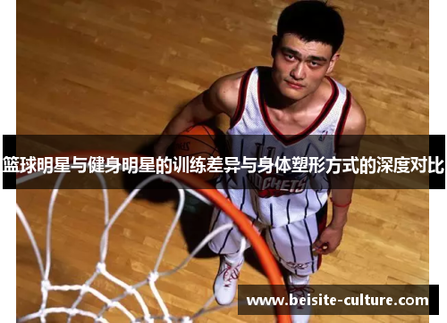 篮球明星与健身明星的训练差异与身体塑形方式的深度对比