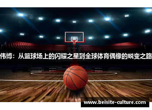伟博：从篮球场上的闪耀之星到全球体育偶像的蜕变之路
