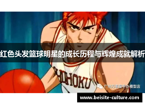 红色头发篮球明星的成长历程与辉煌成就解析