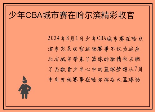 少年CBA城市赛在哈尔滨精彩收官